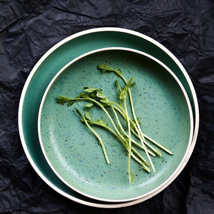 Shop Dinner Plates & Bowls Online FRANKY'S